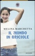 Cover of Il mondo in briciole