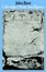Cover of Coleridge's Poetic Intelligence