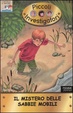 Cover of Il mistero delle sabbie mobili