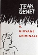 Cover of Il giovane criminale