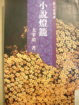 Cover of 小說燈籠