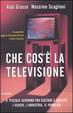 Cover of Che cos'è la televisione
