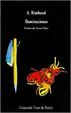 Cover of Iluminaciones - A. Rimbaud