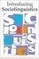 Cover of "Introducing Sociolinguistics"
