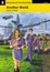 Cover of Another World