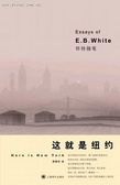 这就是纽约