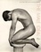 Cover of The Male Ideal