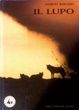 Cover of IL LUPO