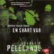 Cover of En svart vår