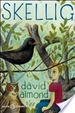 Cover of Skellig