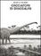 Cover of Cacciatori di dinosauri