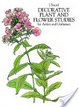 Cover of Decorative Plant and Flower Studies for Artists and Craftsmen