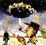 Cover of Fallout