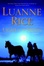 Cover of "Light of the Moon"