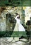 Cover of Il cavaliere misterioso
