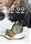 Cover of 22:22