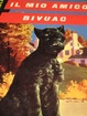 Cover of il mio amico Bivuac