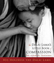 Cover of The Dalai Lama's Little Book of Compassion
