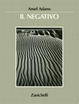 Cover of Il negativo