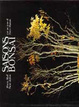 Cover of Saisons bonsai