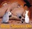 Cover of "Bear Snores On"
