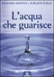 Cover of L' acqua che guarisce