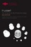 Cover of Husserl