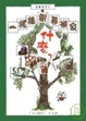 Cover of 一棵橡樹要搬家
