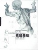 Cover of 向大师学绘画 素描基础