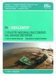 Cover of Catastrofi