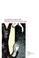 Cover of Spericolato atelier