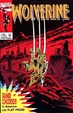 Cover of Wolverine n. 28