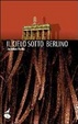 Cover of Il cielo sotto Berlino