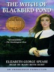 Cover of The Witch of Blackbird Pond