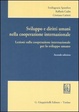 Cover of Sviluppo e diritti umani nella cooperazione internazionale