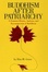 Cover of 'Buddhism After Patriarchy'