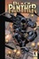 Cover of "Black Panther"
