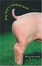 Cover of "Pig Boy's Wicked Bird"