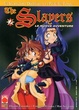 Cover of The Slayers - Le nuove avventure Vol. 02