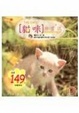 Cover of 貓咪珍賞誌
