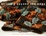 Cover of Knitting Beyond the Edge