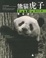 Cover of "熊猫虎子"
