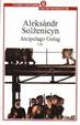 Cover of Arcipelago Gulag