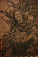 Cover of Erbe e salute