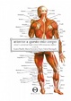 Cover of Attorno a questo mio corpo