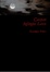 Cover of Carpat Infinite Love