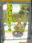 Cover of Yotsuba! 5