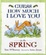 Cover of Guess How Much I Love You in the Spring