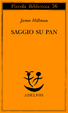 Cover of Saggio su Pan