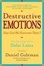Cover of Destructive Emotions